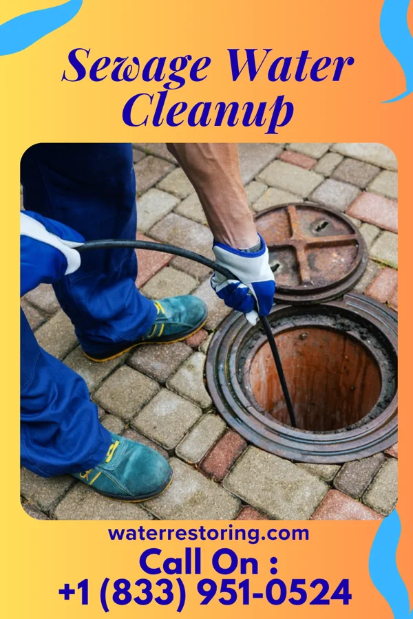 Sewage Water Cleanup in Arcadia, MO